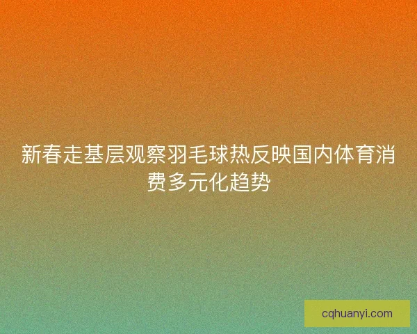 新春走基层观察羽毛球热反映国内体育消费多元化趋势