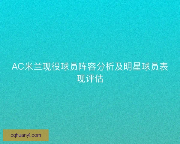 AC米兰现役球员阵容分析及明星球员表现评估