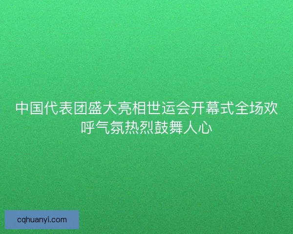 中国代表团盛大亮相世运会开幕式全场欢呼气氛热烈鼓舞人心 中国代表团盛大亮相世运会开幕式全场欢呼气氛热烈鼓舞人心